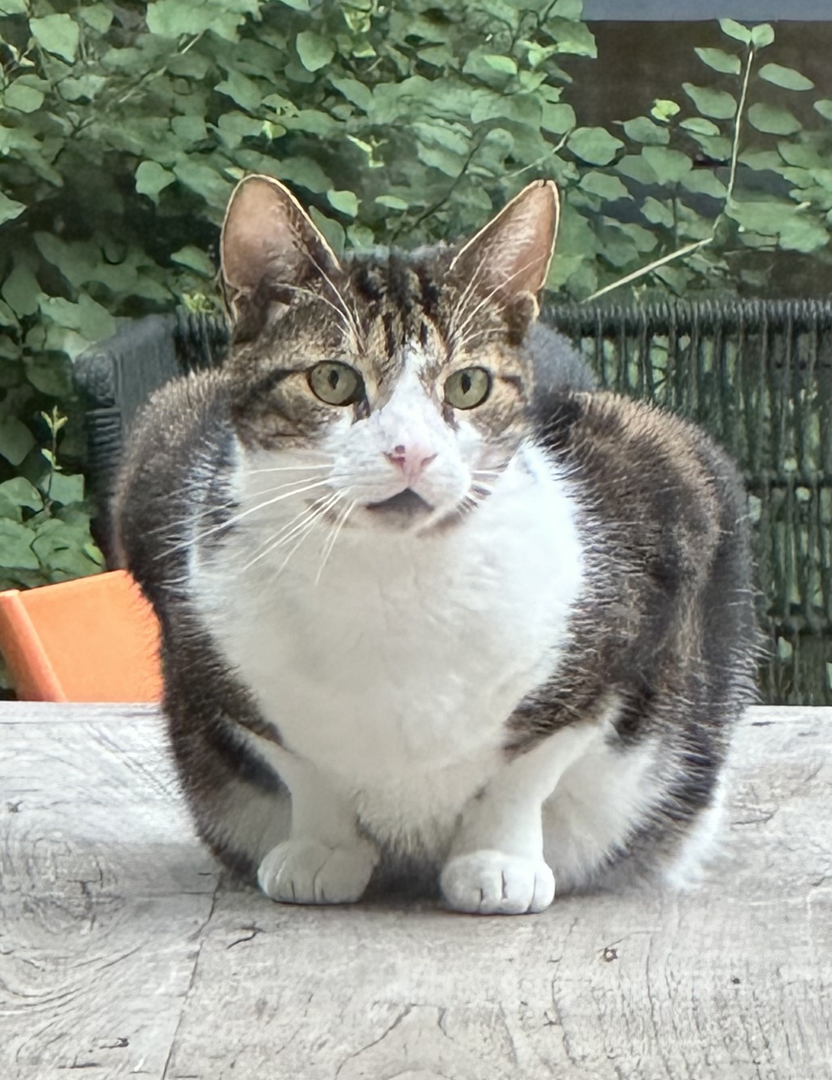 2024-06-01 17-31-31.jpeg